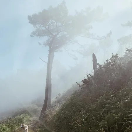 Apartament Estudio 33 *