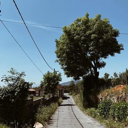 Apartament Estudio 33