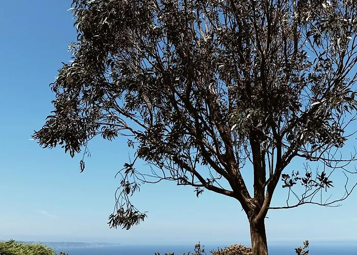 Estudio 33 Апартаменты