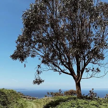 Estudio 33 アパート