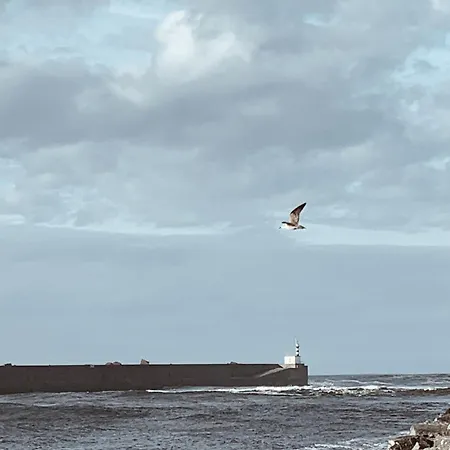 Estudio 33 アパート La Arena